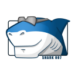 Shark007 Codecs Icon