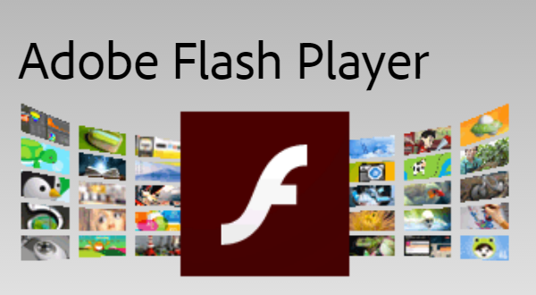 adobe flash player download window