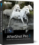 Corel AfterShot Pro for Windows 11