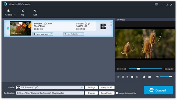 Aiseesoft Free Video to GIF Converter Review