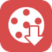 Aiseesoft Video Downloader Icon 75 pixel