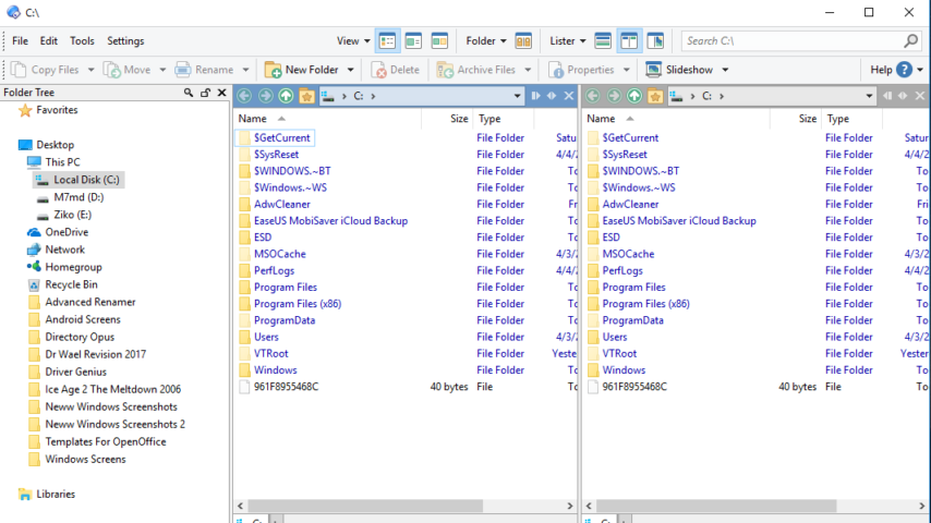 Directory Opus Screenshot 1