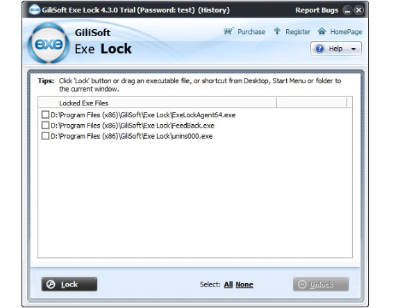 Gilisoft EXE Lock Screenshot