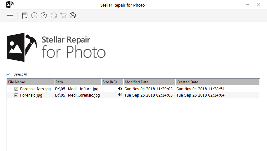 Stellar Repair for Photo Screenshot 1
