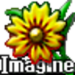 Imagine Icon 75 pixel