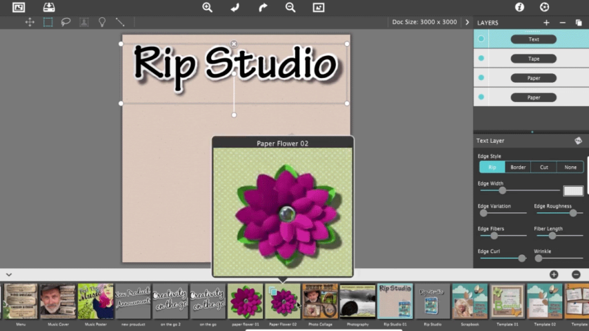 Rip Studio Screenshot 1