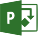 Microsoft Project Professional for Windows 11